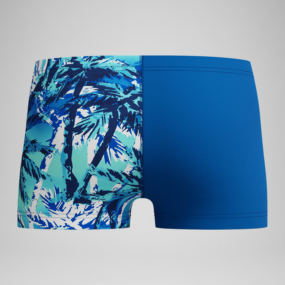 Speedo Boys' Printed V-Cut Aquashorts Blue