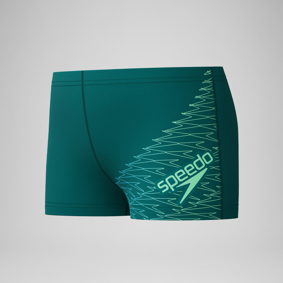 Speedo Boys Medley Logo Aquashorts Green
