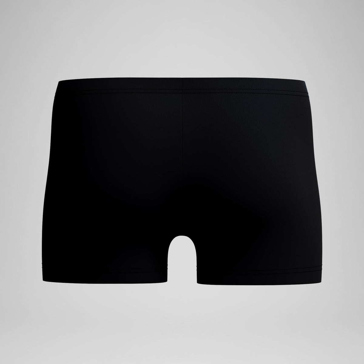 Speedo Medley Logo Aquashorts Black/Grey