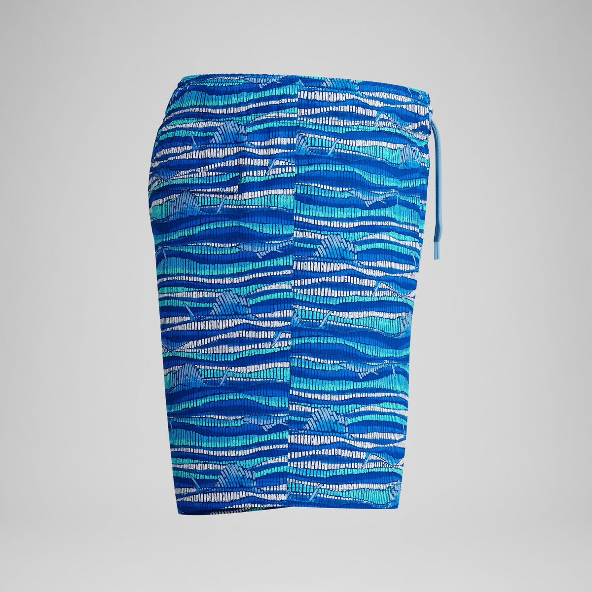 Speedo Boys Printed Swim Shorts Blue