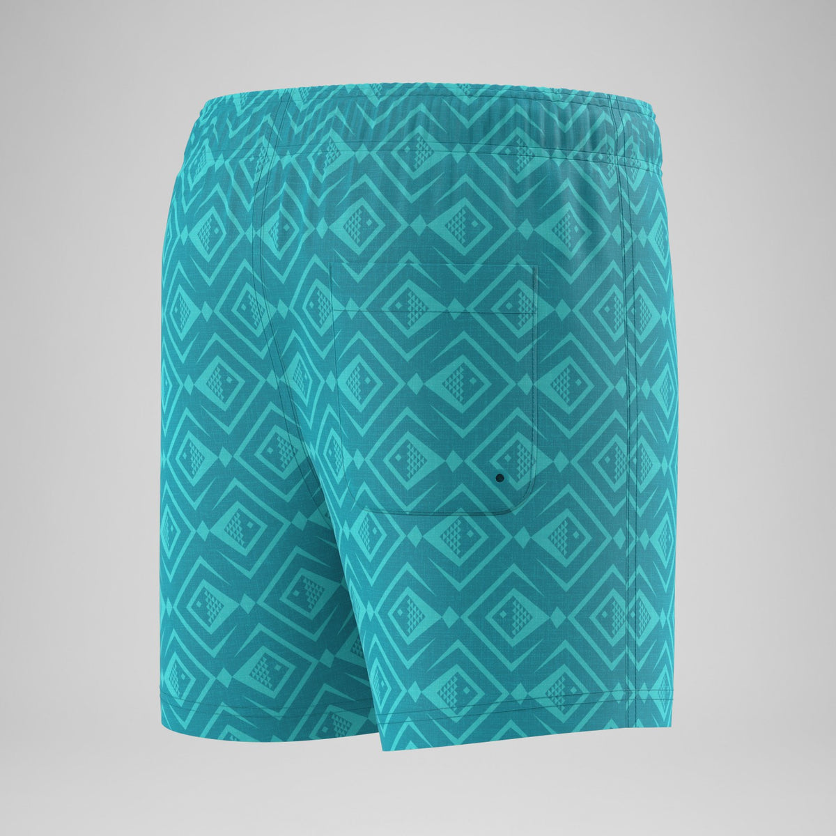 Speedo Boys Printed Swim Shorts Turquoise