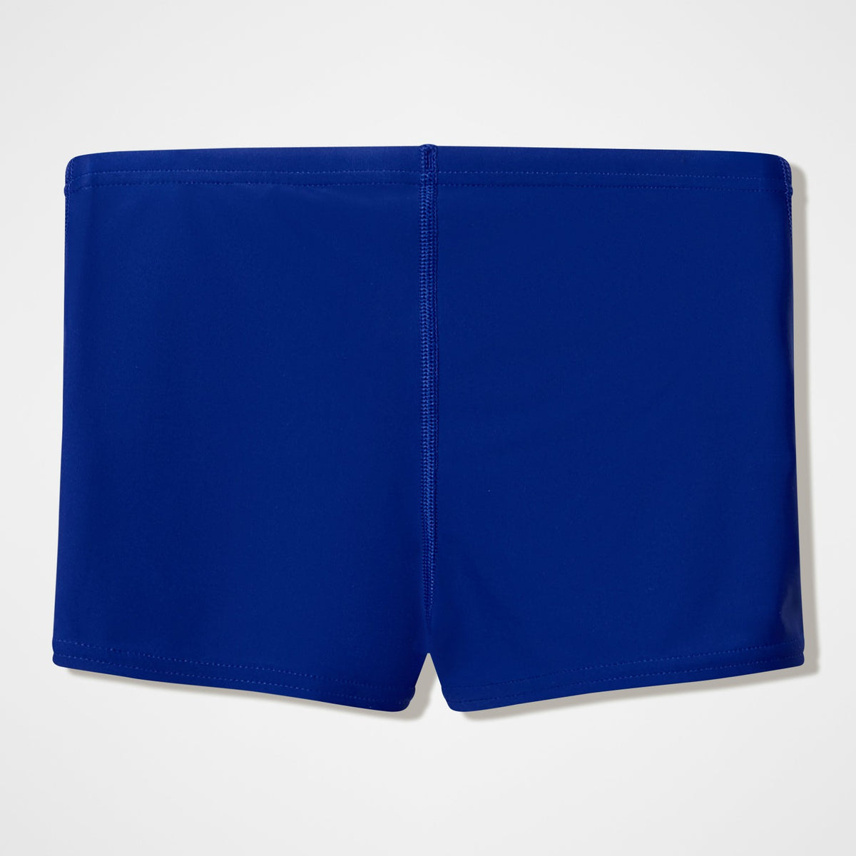 Speedo Boys Medley Logo Aquashorts Blue