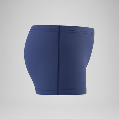 Speedo Boys Medley Logo Aquashorts Blue