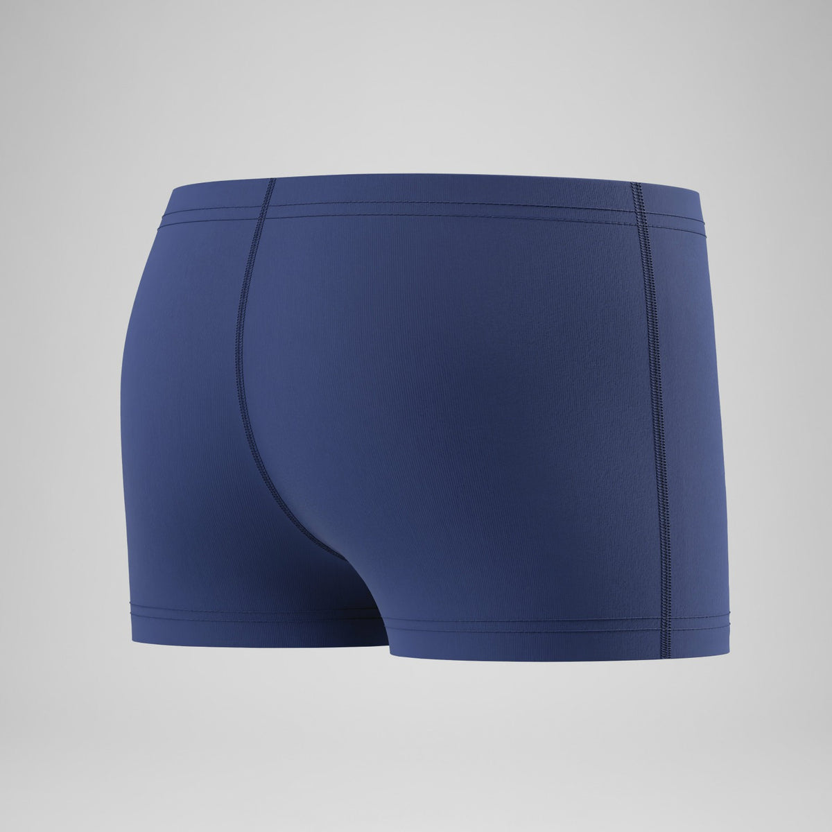 Speedo Boys Medley Logo Aquashorts Blue