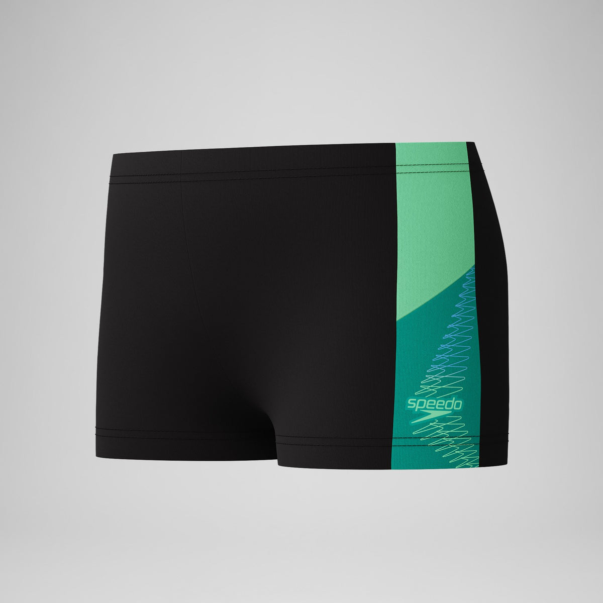 Speedo Boys Dive Aquashorts Black/Dark Grey