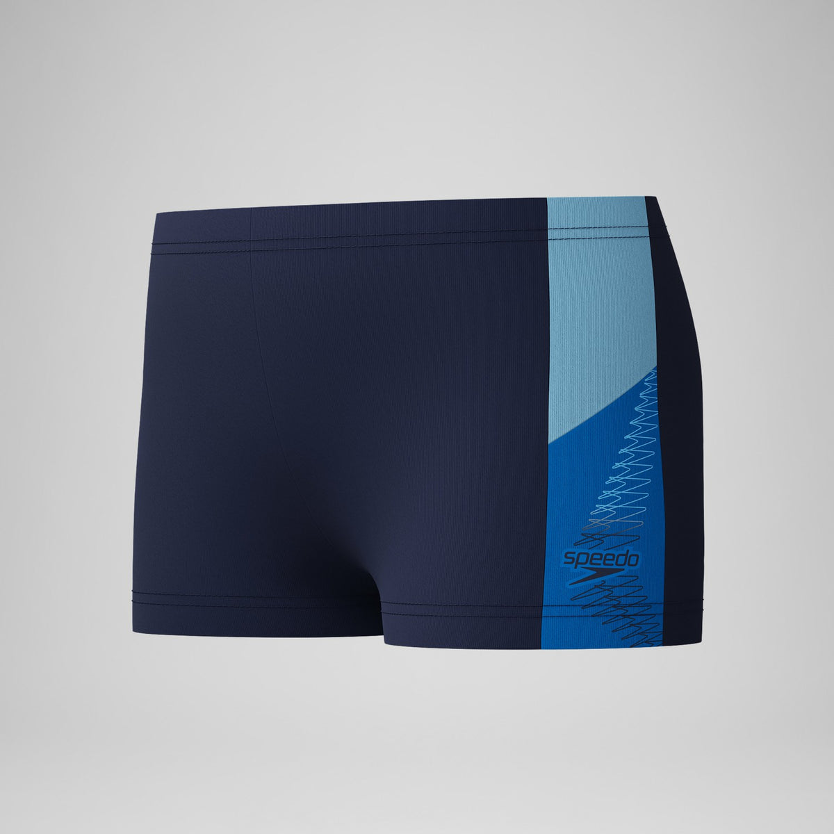 Speedo Boys Dive Aquashorts Navy/Blue