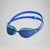 Picton Blue/Cobalt/Iris