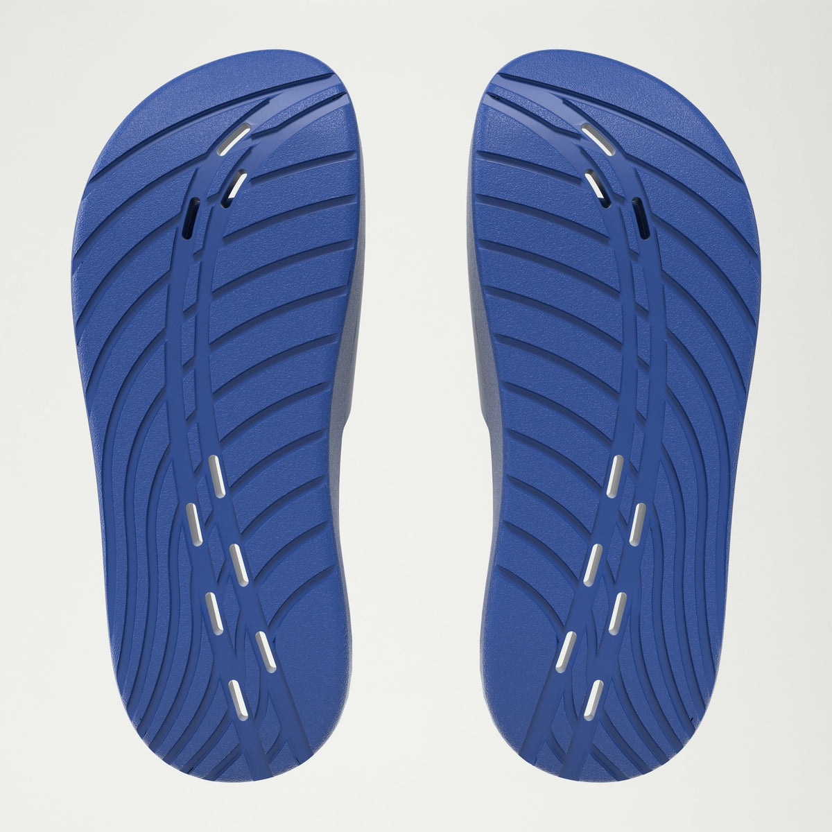 Speedo Speedo Slide Navy/White