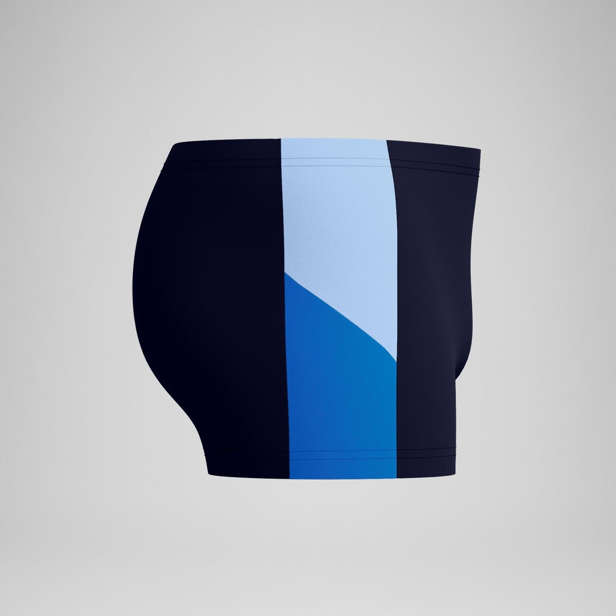 Speedo Dive Aquashorts Navy/Blue