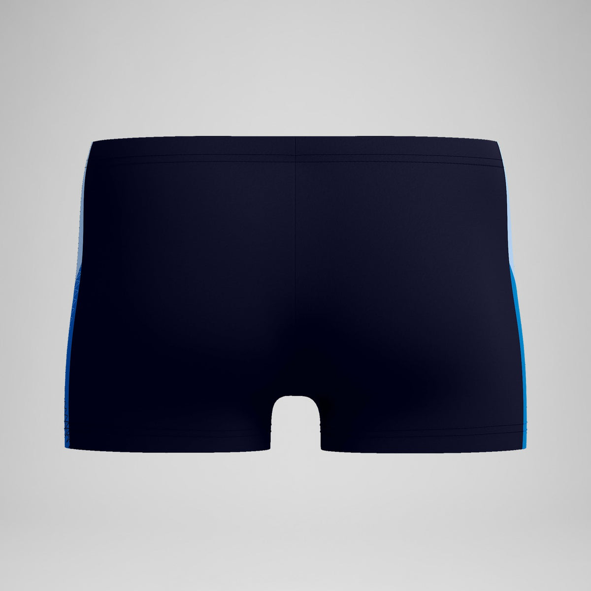 Speedo Dive Aquashorts Navy/Blue