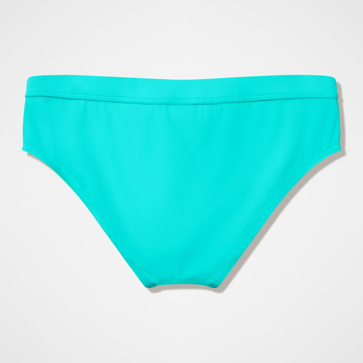 Speedo The Speedo Briefs Turquoise