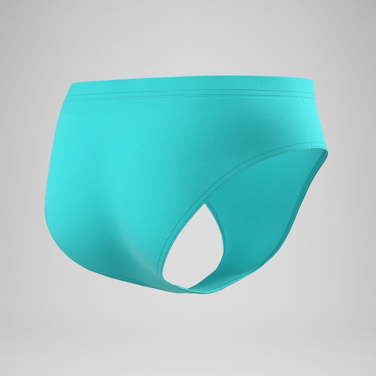 Speedo The Speedo Briefs Turquoise