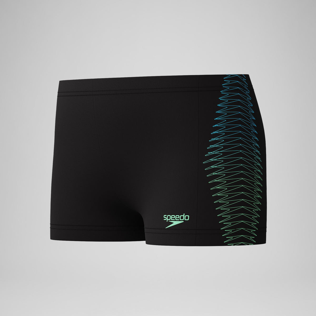 Speedo Boys Plastisol Placement Aquashorts Black/Green