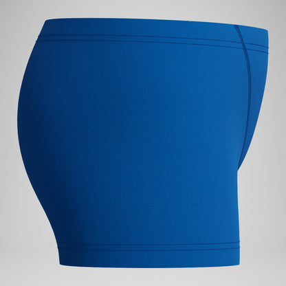 Speedo Boys' Printed V-Cut Aquashorts Blue