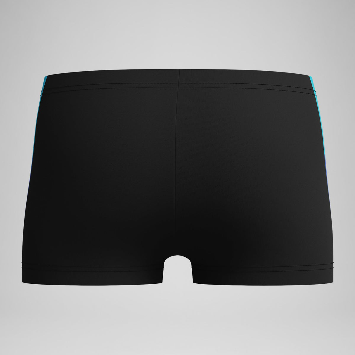 Speedo Boys' Dive Aquashorts Black/Blue