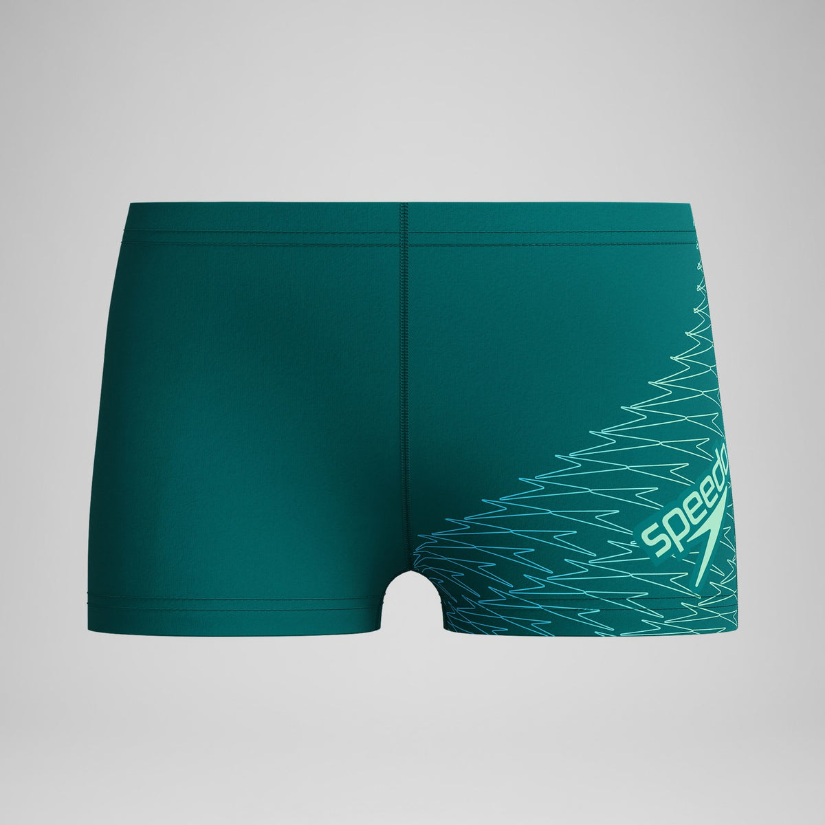 Speedo Boys Medley Logo Aquashorts Green