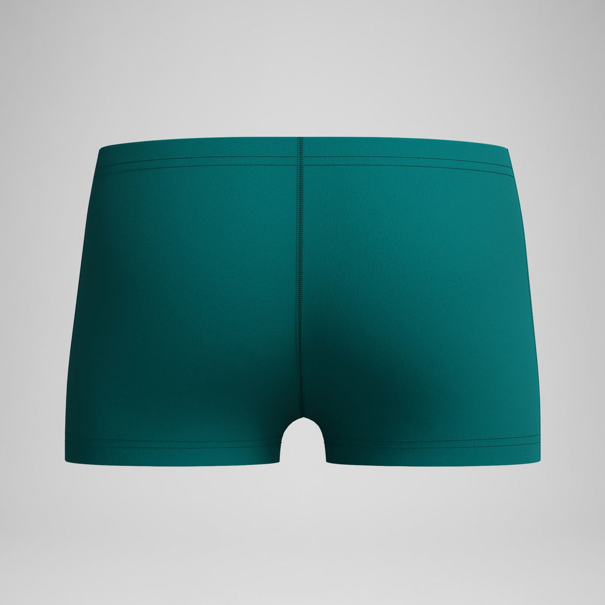 Speedo Boys Medley Logo Aquashorts Green