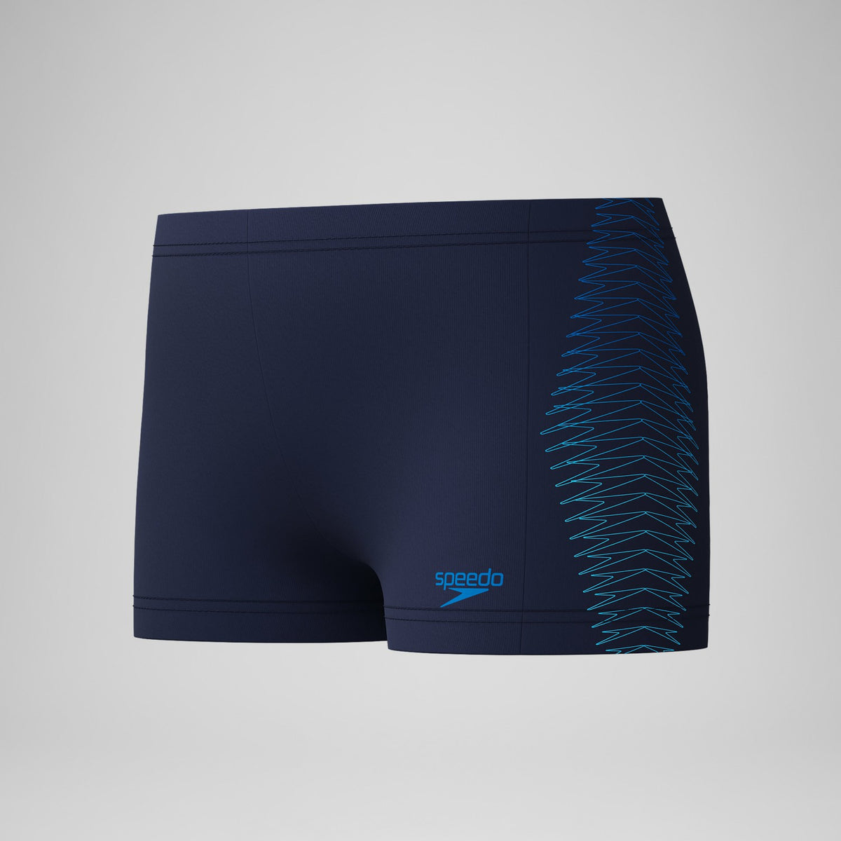 Speedo Boys Plastisol Placement Aquashorts Navy/Blue