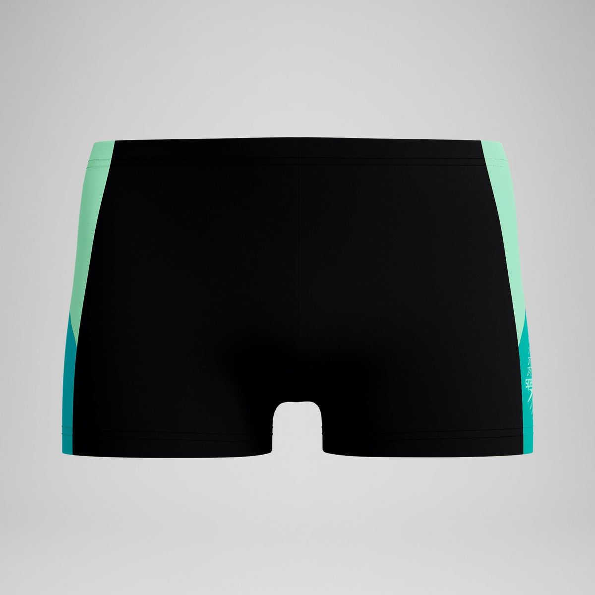 Speedo Dive Aquashorts Black/Turquoise