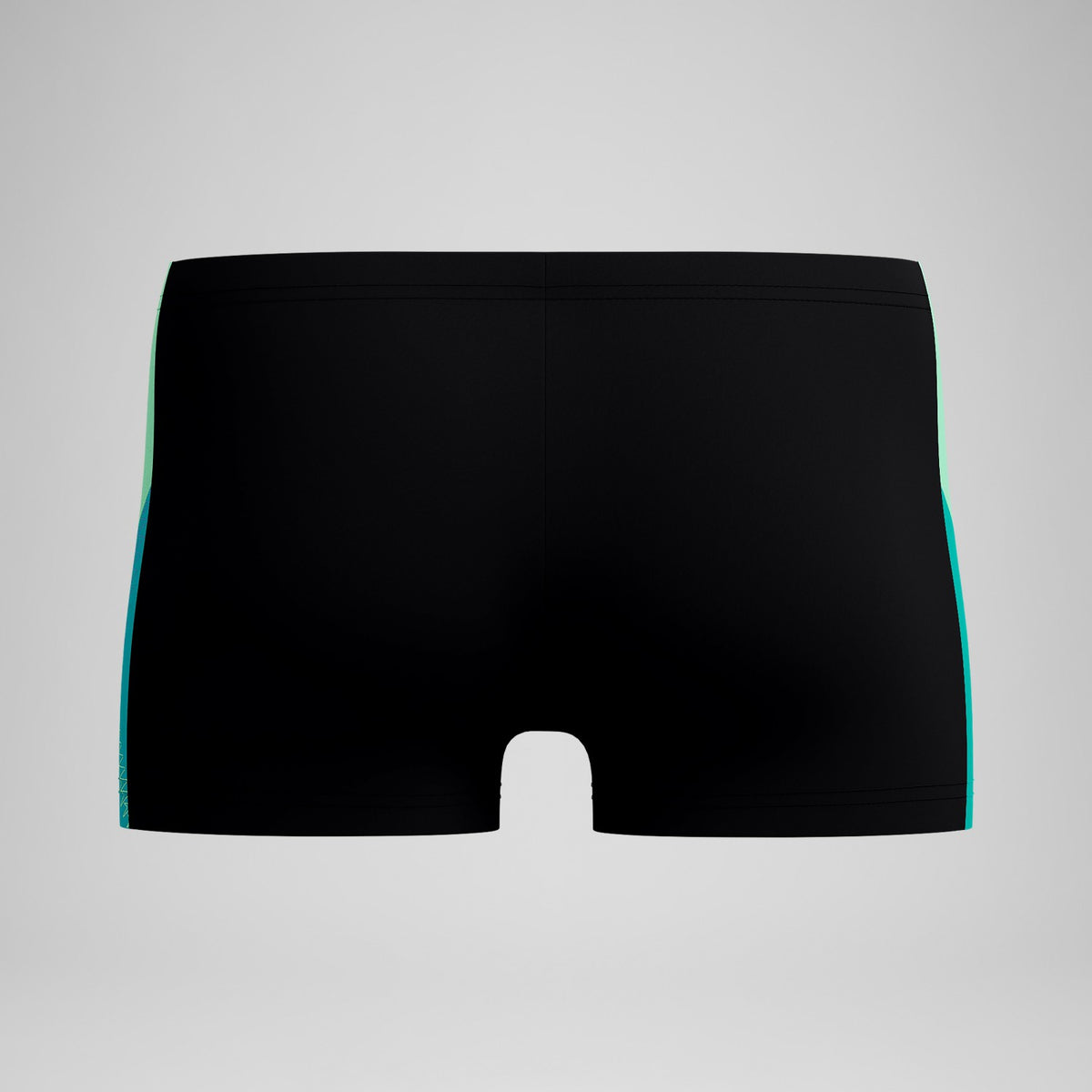 Speedo Dive Aquashorts Black/Turquoise