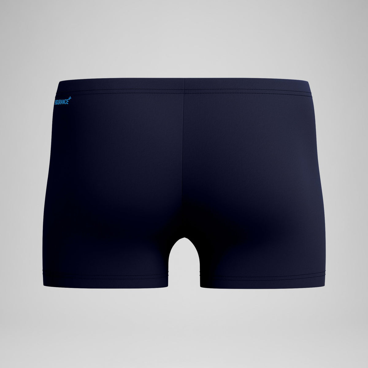 Speedo Duo Logo Aquashorts Navy/Blue