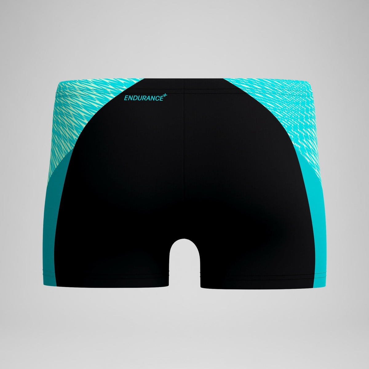 Speedo Endurance+ MAX Splice Aquashorts Black/Turquoise