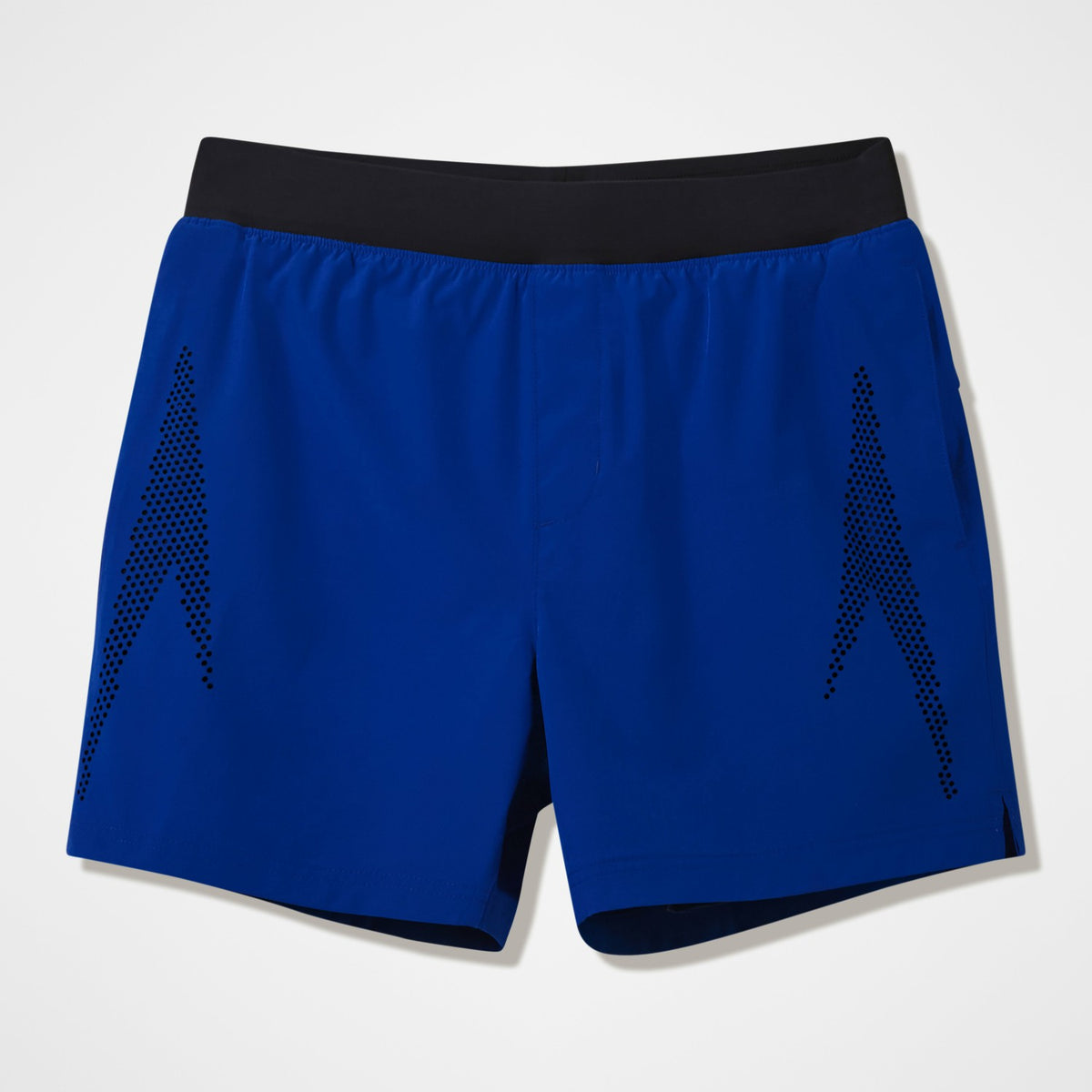 Speedo Swim Shorts with Jammer Blue