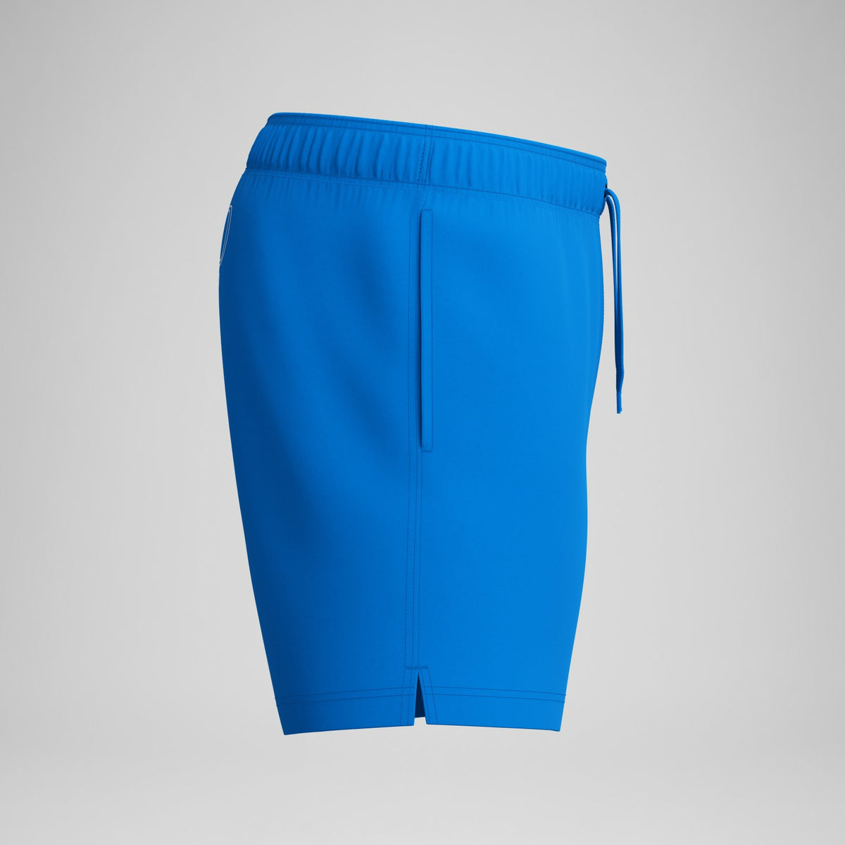 Speedo Classic Logo Swim Shorts Blue